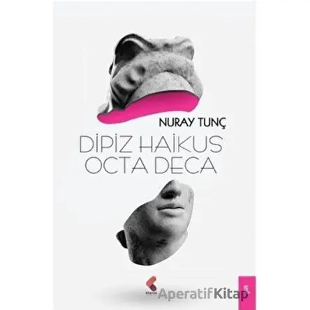 Dipiz Haikus Octa Deca - Nuray Tunç - Klaros Yayınları