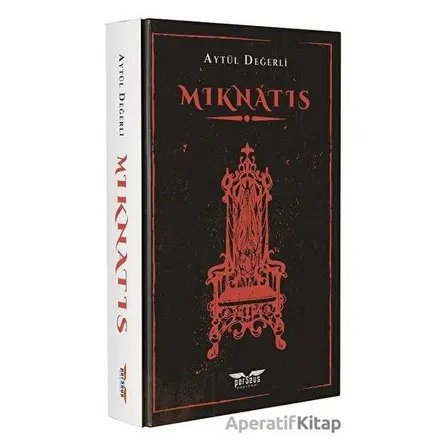 Mıknatıs - Aytül Değerli - Perseus