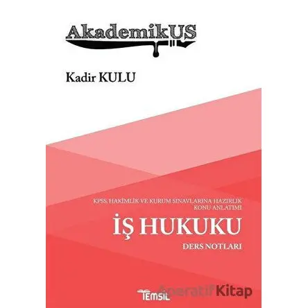 Akademikus İş Hukuku Ders Notları - Kadir Kulu - Temsil Kitap