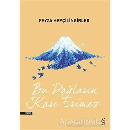 Bu Dağların Karı Erimez - Feyza Hepçilingirler - Everest Yayınları