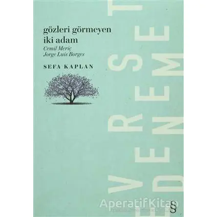 Gözleri Görmeyen İki Adam - Sefa Kaplan - Everest Yayınları