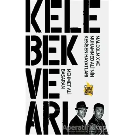 Kelebek ve Arı - Mehmet Ali Başaran - Çıra Yayınları