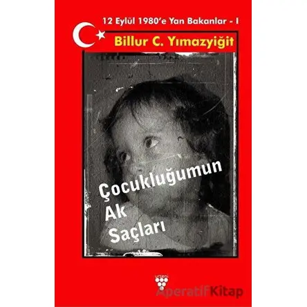 Çocukluğumun Ak Saçları - Billur C. Yılmazyiğit - Urzeni Yayıncılık