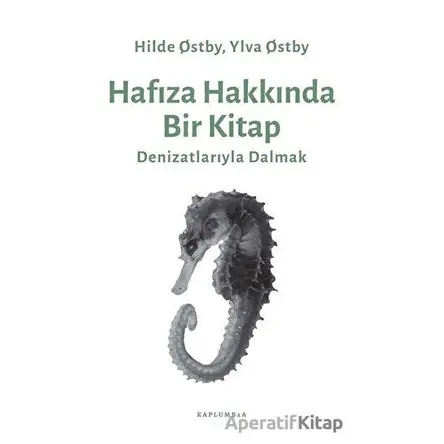 Hafıza Hakkında Bir Kitap - Ylva Otsby - Kaplumbaa Kitap
