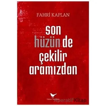 Son Hüzün de Çekilir Aramızdan - Fahri Kaplan - Günce Yayınları