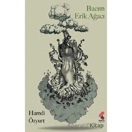 Bacım Erik Ağacı - Hamdi Özyurt - Klaros Yayınları