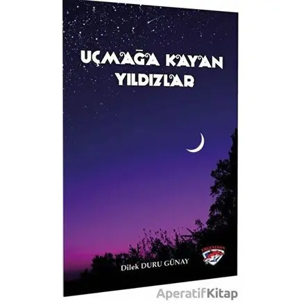 Uçmağa Kayan Yıldızlar - Dilek Duru Günay - Ergenekon