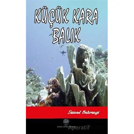 Küçük Kara Balık - Samed Behrengi - Platanus Publishing
