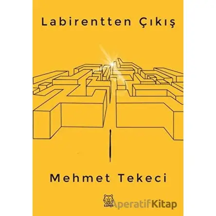 Labirentten Çıkış - Mehmet Tekeci - Luna Yayınları