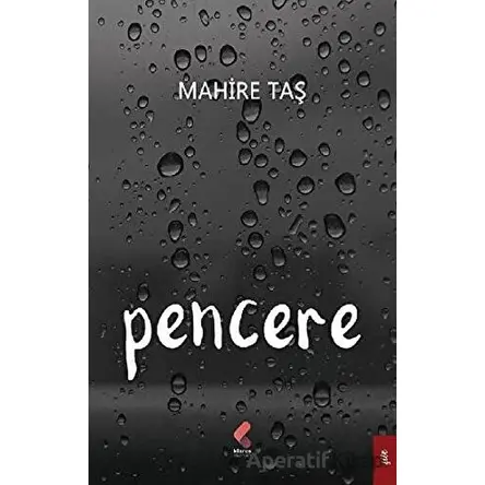 Pencere - Mahire Taş - Klaros Yayınları