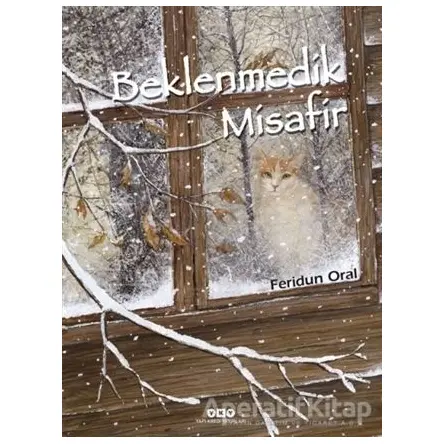 Beklenmedik Misafir - Feridun Oral - Yapı Kredi Yayınları