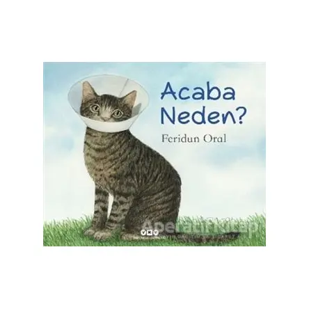 Acaba Neden? - Feridun Oral - Yapı Kredi Yayınları