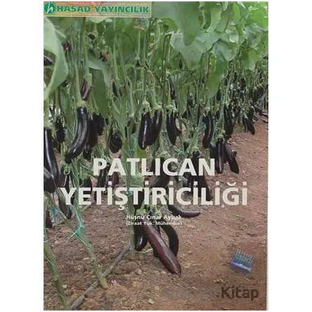 Patlıcan Yetiştiriciliği - Hüsnü Çınar Aybak - Hasad Yayıncılık
