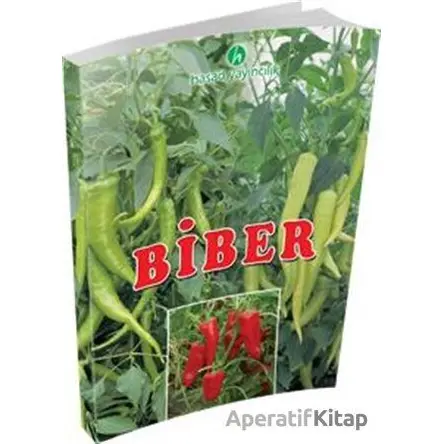 Biber - Hüsnü Çınar Aybak - Hasad Yayıncılık