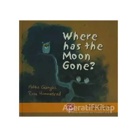 Where Has The Moon Gone ? - Reza Hemmatirad - UMP Yayınları