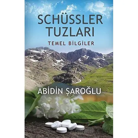 Schüssler Tuzları - Abidin Şaroğlu - Onbir Yayınları