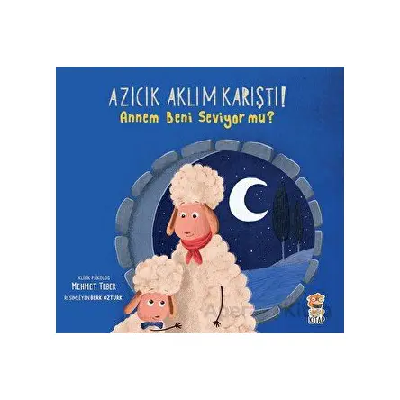 Azıcık Aklım Karıştı - Annem Beni Seviyor Mu - Mehmet Teber - Sincap Kitap