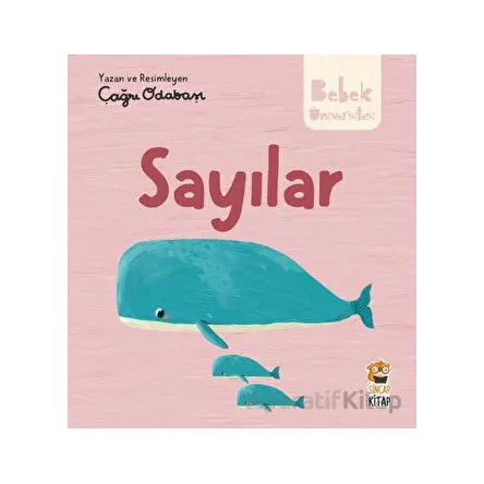 Hikayeli İlk Kavramlarım - Sayılar - Çağrı Odabaşı - Sincap Kitap