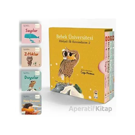 Bebek Üniversitesi 2 - Hikayeli İlk Kavramlarım Set (4 Kitap) - Çağrı Odabaşı - Sincap Kitap