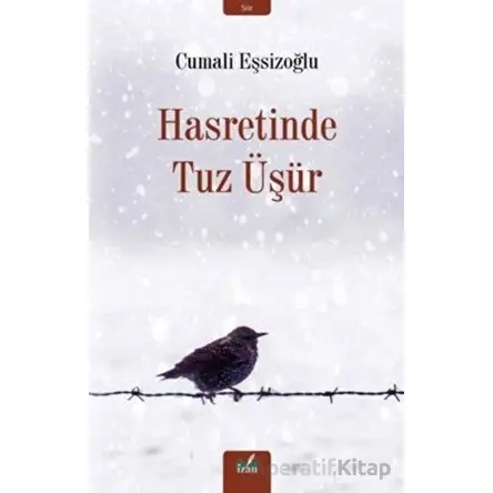 Hasretinde Tuz Üşür - Cumali Eşsizoğlu - İzan Yayıncılık