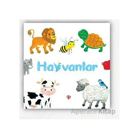 Hayvanlar (0-3 Yaş) - Merve Türkay - Türkiye Diyanet Vakfı Yayınları