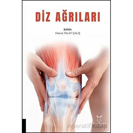Diz Ağrıları - Havva Talay Çalış - Akademisyen Kitabevi