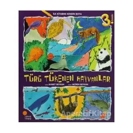 İlk Kitabını Kendin Boya - Türü Tükenen Hayvanlar - Müren Beykan - Günışığı Kitaplığı