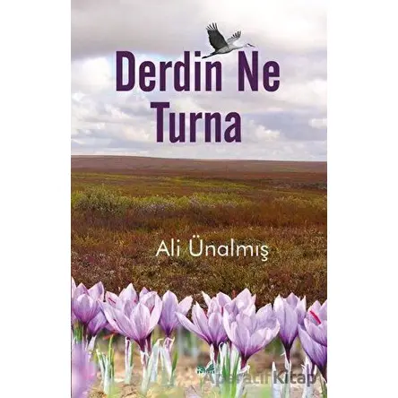 Derdin Ne Turna - Ali Ünalmış - İzan Yayıncılık