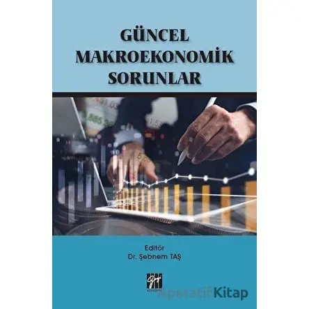Güncel Makroekonomik Sorunlar - Şebnem Taş - Gazi Kitabevi