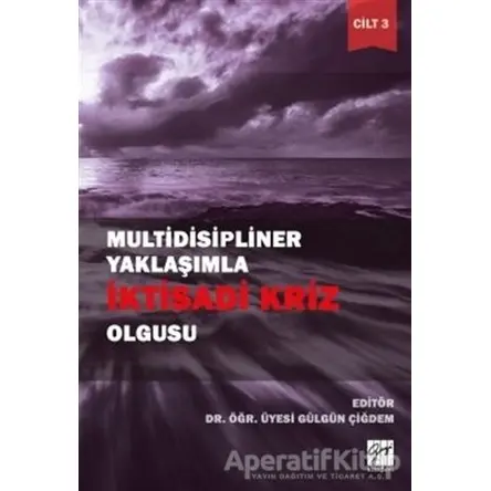 Multidisipliner Yaklaşımla İktisadi Kriz Olgusu Cilt 3 - Gülgün Çiğdem - Gazi Kitabevi