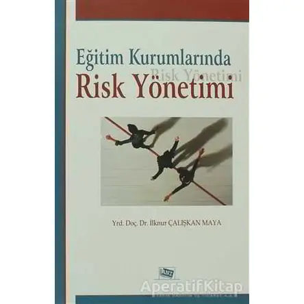Eğitim Kurumlarında Risk Yönetimi - İlknur Çalışkan Maya - Anı Yayıncılık