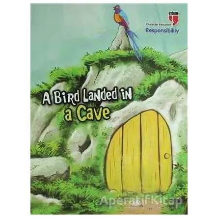 A Bird Landed in a Cave - Responsibility - Neriman Karatekin - EDAM