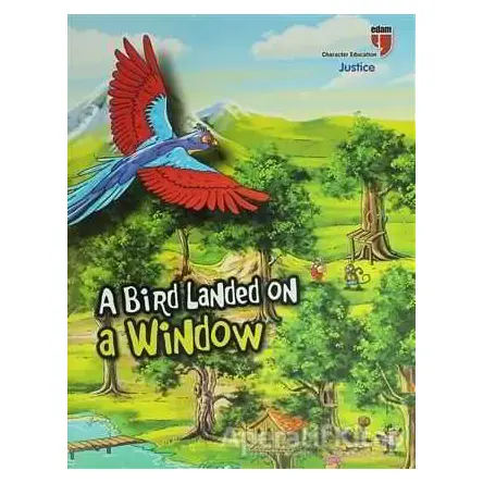 A Bird Landed On a Window - Kolektif - EDAM