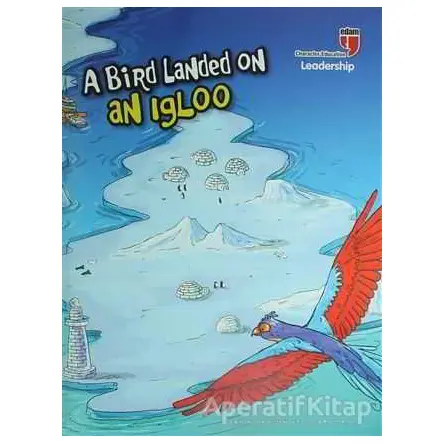 A Bird Landed on an Igloo - Leadership - Neriman Karatekin - EDAM