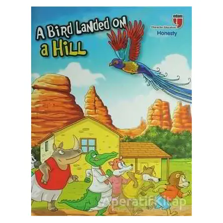A Bird Landed on a Hill - Honesty - Neriman Karatekin - EDAM