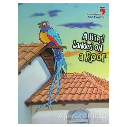 A Bird Landed on a Roof - Self Control - Neriman Karatekin - EDAM