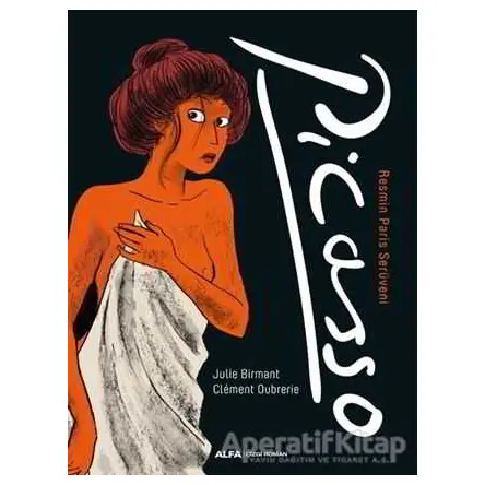 Picasso - Julie Birmant - Alfa Yayınları