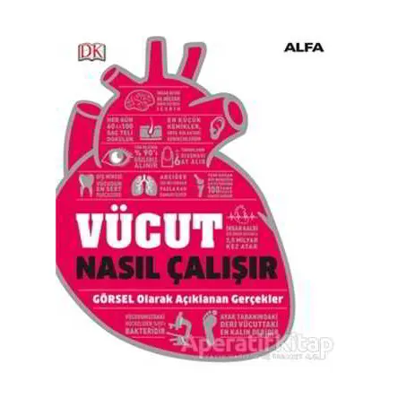 Vücut Nasıl Çalışır - Kolektif - Alfa Yayınları