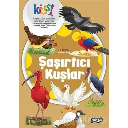 Şaşırtıcı Kuşlar - Kolektif - Pogo Çocuk