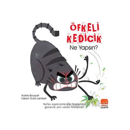 Öfkeli Kedicik - Audrey Bouquet - Uçan Fil Yayınları
