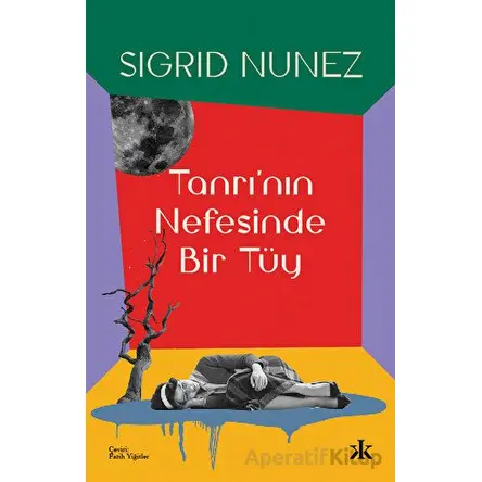 Tanrının Nefesinde Bir Tüy - Sigrid Nunez - Kafka Kitap