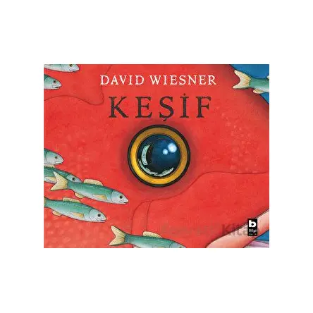 Keşif - David Wiesner - Bilgi Yayınevi