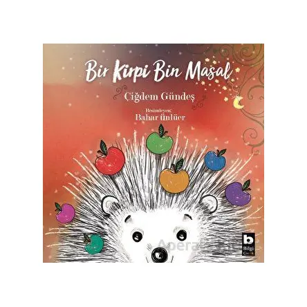 Bir Kirpi Bin Masal - Çiğdem Gündeş - Bilgi Yayınevi