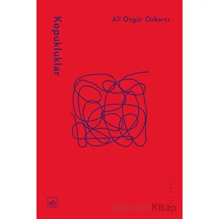 Kopukluklar - Ali Özgür Özkarcı - İthaki Yayınları