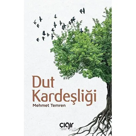 Dut Kardeşliği - Mehmet Temren - Çığır Yayınları
