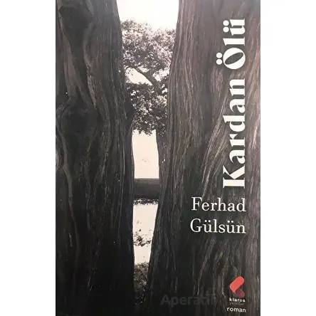 Kardan Ölü - Ferhad Gülsün - Klaros Yayınları