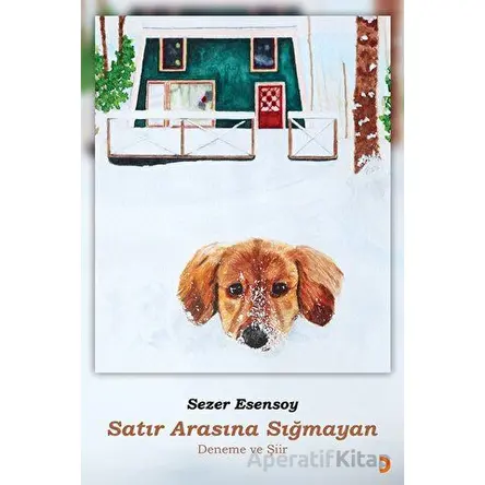 Satır Arasına Sığmayan - Sezer Esensoy - Cinius Yayınları