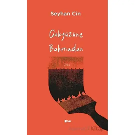 Gökyüzüne Bakmadan - Seyhan Cin - Şule Yayınları