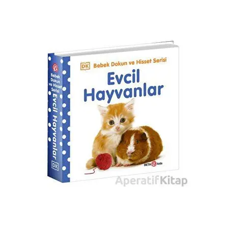 Evcil Hayvanlar / 0-2 Yaş Bebek Dokun Hisset - Kolektif - Beta Kids