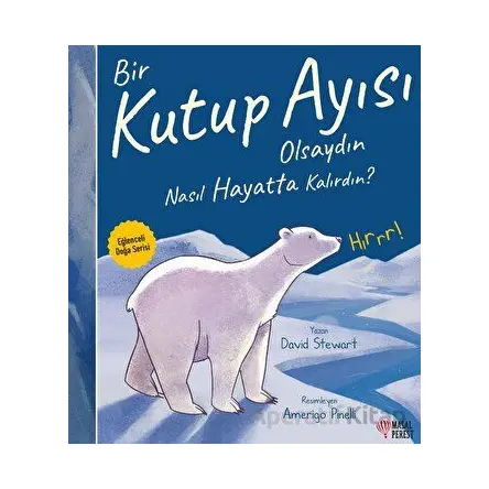 Bir Kutup Ayısı Olsaydın Nasıl Hayatta Kalırdın? - David Stewart - Masalperest